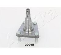 ASHIKA 44-20018 Mozzo ruota per DAEWOO LANOS (KLAT) LANOS Stufenheck (KLAT)