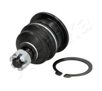 Perno braccio oscillante Assale anteriore superiore 73-04-422 ASHIKA per HONDA