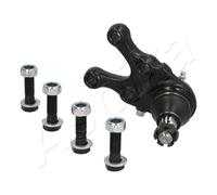 Perno braccio oscillante Assale anteriore Dx 73-05-523R ASHIKA per MITSUBISHI