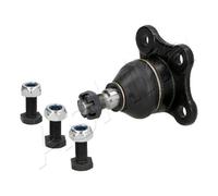 ASHIKA Giunto Sferico Anteriore Superiore per Isuzu Trooper II SUV Aperto