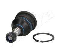 ASHIKA Giunto Sferico Braccio Strutturale Frontale per Mitsubishi Pajero Pinin