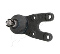 ASHIKA Giunto Sferico Giunto Di Guida Anteriore Inferiore Per Tata Xenon Pick-up