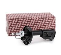 Ashika Ashika Ma-40016