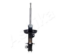 Ashika Ashika Ma-50061