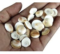ASHIRWAD Gomti Chakra indiano originale per Pooja dal fiume Gomati in India Sakkaram per uso astrologico (11 pz GC1)