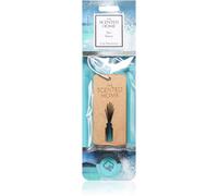 Ashleigh & Burwood London Sea Spray deodorante per auto 2 pz