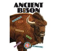 Ashley Gish Ancient Bison (Tascabile) X-Books: Ice Age Creatures