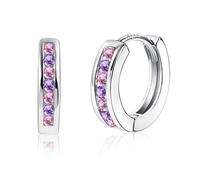 ASH'S CHOICE Orecchini Donna Argento 925 a Cerchio Oro Placcato 14K/ Oro Bianco per Donne e Ragazze Ipoallergenico Orecchini