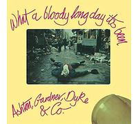 Ashton Tony, Gardner Kim, Dyke Roy - What A Bloody Long Day It'S Been