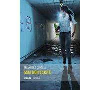 Asia non esiste