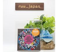 ASIAN KUNG-FU GENERATION collezione singola 2CD con scheda e libretto Limited...