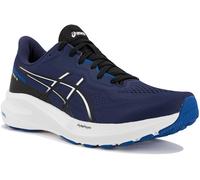 Asics GT-1000 13 40.5