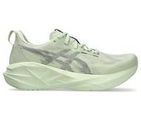 ASICS Novablast 5 Whisper Green / Monument Blue FeMale Size 43.5