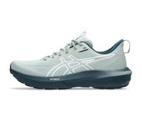 Asics Scarpe da Corsa GT-1000 14 Uomo, Natura balneare/Lichen Rock, 42 EU
