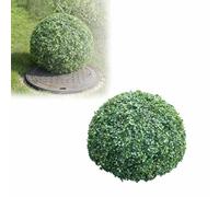 Asiwnshw Coperture Rotonde Decorative per Pozzi da Giardino - Sfera Artificiale di Verde per Esterni, Copertura per tombini e pozzetti di ispezione - Copertura Decorativa a Effetto vegetale(Green)