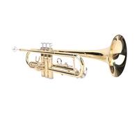 Asixxsix BB Cornet, il Set di Cornetta in Ottone Comprende Portavoce, Custodia, Guanti, Tessuti e Pennelli per la Pulizia, per Principianti, Studenti e Professionisti Strumenti Musicali