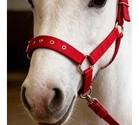 Asixxsix Capezza per Vitello di Mucca, Cavezza di Contenimento per Mucca di Cavallo Regolabile Ad Alta Resistenza, Attrezzatura per la Movimentazione del Bestiame per Esibizioni, Morbida (Rosso)