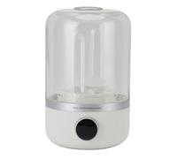 Asixxsix Lavatrice Portatile, Carica Silenziosa da 10 W di Tipo C, Lavatrice per Biancheria Intima, per Biancheria Intima, Calzini, Vestiti per Bambini, Piccoli Oggetti