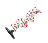 Asixxsix Modello DI DNA, Modello DI Struttura in Plamila a Doppia Kit DI DNA Educativo a Doppia Sussidio Didattico per la Divulgazione Helle Scienze Biologiche