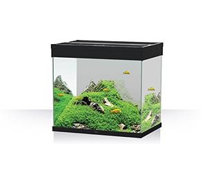 Askoll 280281 Emotion PRO LED 60 con Filtro Esterno Pratiko 100, S, Nero