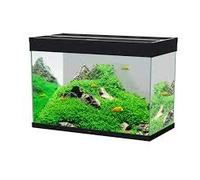 Askoll 280283 Emotion PRO LED 80 con Filtro Esterno Pratiko200, M, Nero