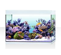 Askoll AA350077 ASKOLL PURE XL HC MARINE WHITE