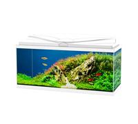 ASKOLL Ciao Aqua 80 Led Acquario In Vetro Completo 80x30x41,5h cm