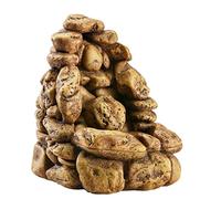 Askoll Exo Terra Cascata con Pompa, 28 x 24,5 x 28 cm