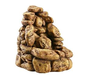 Askoll Exo Terra Cascata con Pompa, 28 x 24,5 x 28 cm
