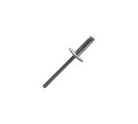 ASL4810 - Confezione da 250 rivetti ciechi con testa larga SCELL-IT, 4,8 x 10 mm