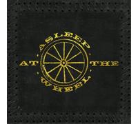 Asleep at the Wheel Half a Hundred Years (Vinyl LP) 12" Album