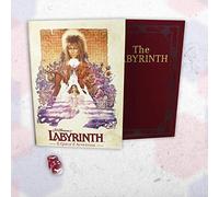Asmodee Need Games - Labyrinth, Il Gioco d'Avventura - Gioco di Ruolo, Edizione in Italiano (5090)