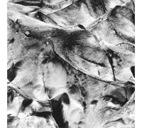 Asmus Tietchens & Miki Yui Neues Boot (CD) Album