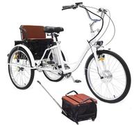 ASnwpaK Bicicletta Elettrica A 3 Ruote da 24" per Anziani, Triciclo Elettrico per Adulti, con Batteria al Litio Rimovibile da 36V 12Ah (Autonomia 35-40 Km), con Cestino, per Uomo E Donna,White-Seat