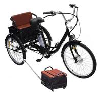 ASnwpaK Bicicletta Elettrica A 3 Ruote da 24" per Anziani, Triciclo Elettrico per Adulti, con Batteria al Litio Rimovibile da 36V 12Ah (Autonomia 35-40 Km), con Cestino, per Uomo E Donna,Black-Seat