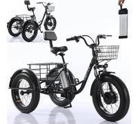 ASnwpaK Triciclo Elettrico per Adulti (capacità di Carico 200 kg), Triciclo Elettrico con Pneumatici Larghi 20 X 4,0", Batteria Rimovibile da 48V/12Ah (Autonomia 35 Km), per Lo Shopping, I Picnic