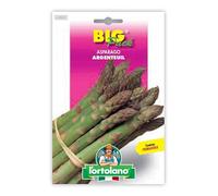 Asparago Argenteuil Big Pack - Busta Sementi
