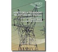 Aspetti della transizione nel settore dell'energia. Gli appalti nei settori speciali, il market design e gli assetti di governance. Atti degli Atelier Aiden