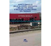 Aspetti idraulici delle alluvioni verificatisi nel Calore Irpino a valle della confluenza del Tammaro