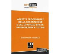 Aspetti processuali della separazione e del divorzio breve. Interferenze e tutele
