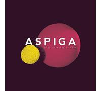 Aspiga - What Happened To You