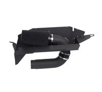 Aspirazione Aria Auto Kit Tubo Aspirazione Aria Fredda Auto Con Filtro Aria Motore Per BMW N20B20 F20 F21 F30 F31 125i 220i 228i 320i 328i 420i 428i 2.0T 2012-2016 Tubo Aspirazione Aria Turbo