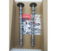 ASPIRAZIONE e SCARICO ALBERI A CAMME BMW MINI F21 F32 E60 G31 1.6 2.0 16V 113185