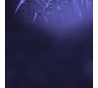 ASRA – Nocturnal Journey – Membran