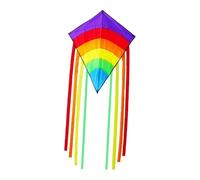 AsrMyjcx Aquilone da Spiaggia con, Aquilone Arcobaleno, a Linea Singola, con Ampia Apertura Alare E Corda, Pieghevole per Giochi E attività, Testa Viola