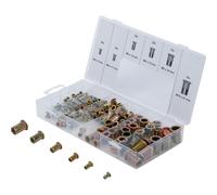 BGS Assortimento di dadi per rivetti in acciaio zincato, 150pz. Quantità:1