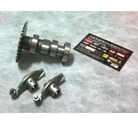 ASSE ALBERO A CAMME + MARTELLETTI BILANCIERI KYMCO VIVIO 125-150 125 2000