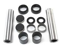 Asse + Cuscinetto Braccio Treno Posteriore Completo Di Saxo AX per 106 3 Fori