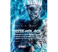 Assemblage: Quasimodo, Brancati e Vittorini filtrati da un dandy (2016)-Il centro Polare Artico 1999-2018