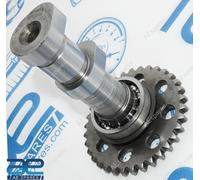 Assemblaggio Dell'Albero A Camme Compatibile Con KTM Duke 200 2013-2023 JU511221